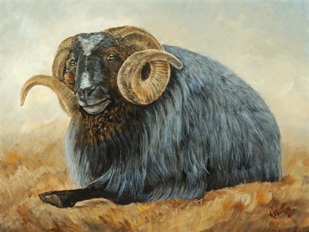 Baa Baa Black Sheep by Kathy Winkler art print