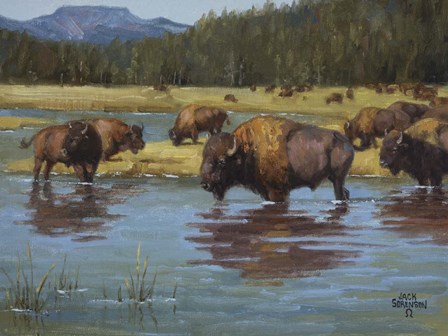 Buffalo Crossing by Jack Sorenson art print