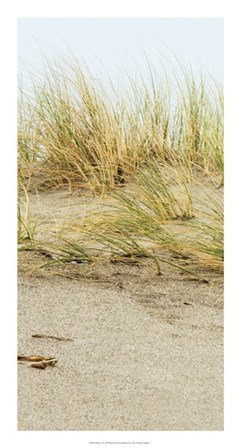 Dunes I by Rachel Perry art print