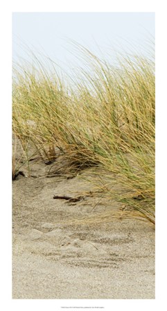 Dunes III by Rachel Perry art print