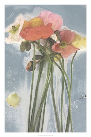 Poppy Spray I by Jennifer Goldberger art print