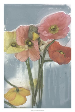 Poppy Spray II by Jennifer Goldberger art print