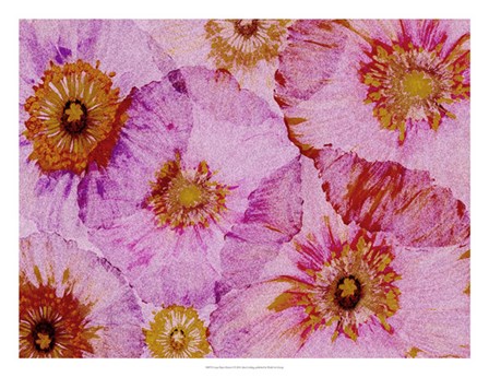 Crepe Paper Flowers I by Alicia Ludwig art print