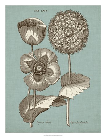 Chambray Chintz III by Vision Studio art print