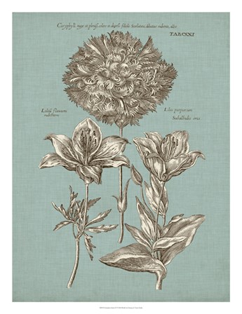 Chambray Chintz IV by Vision Studio art print