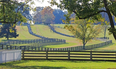Stacked Split-Rail Fences in Appomattox, Virginia art print