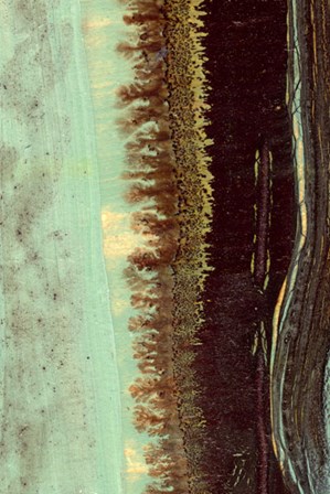 Lichen II by J. McKenzie art print