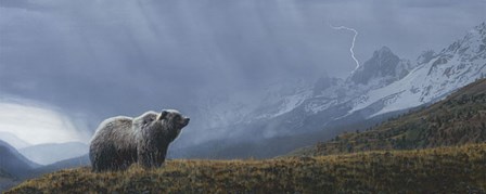 Stormwatch - Grizzly (detail) by Terry Isaac art print