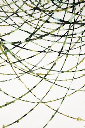 Moss Vine by Candice Alford art print