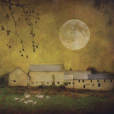 Sheep Under a Harvest Moon by Dawne Polis art print