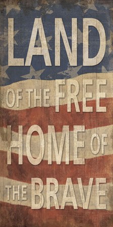 Land of the Free Home of the Brave by Sparx Studio art print