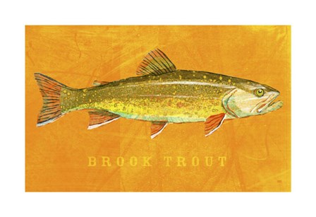 Brook Trout by John W. Golden art print