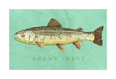 Brown Trout by John W. Golden art print