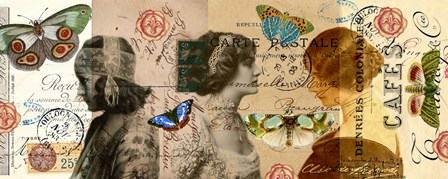 Butterfly Beauties by Sandy Lloyd art print