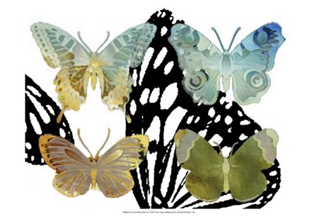 Layered Butterflies IV by Sisa Jasper art print