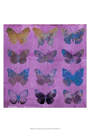 Butterflies on Magenta by Sisa Jasper art print