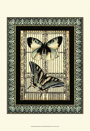 Small Butterfly Fancy I by Vision Studio art print