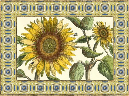 Classical Sunflower I by Vision Studio art print