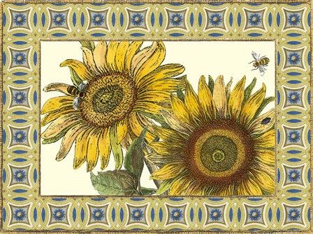 Classical Sunflower II by Vision Studio art print