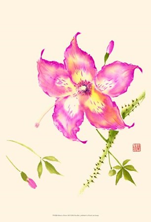 Hibiscus Flower III by Nan Rae art print