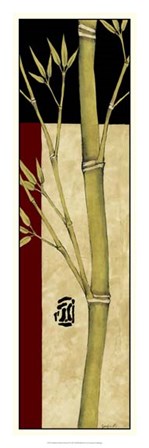 Meditative Bamboo Panel IV by Jennifer Goldberger art print