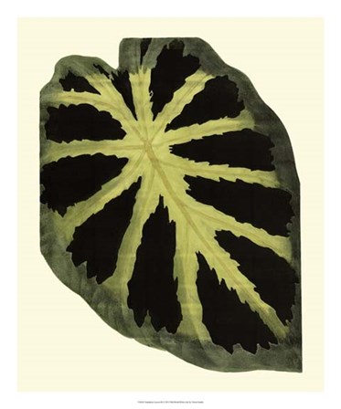 Grandiose Leaves III by Vision Studio art print