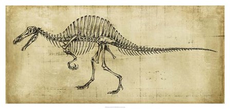 Spinosaurus Study by Ethan Harper art print