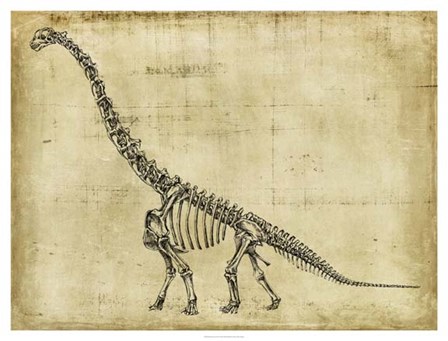 Brachiosaurus Study by Ethan Harper art print