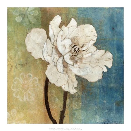 Full Bloom I by W Green-Aldridge art print