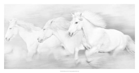All the White Horses by PHBurchett art print
