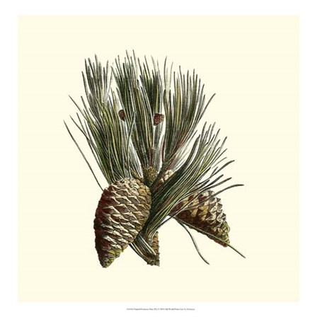 Bordeaux Pine by Desahyes art print