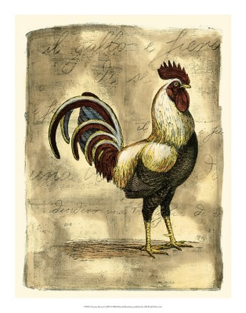 Tuscany Rooster I by Deborah Bookman art print