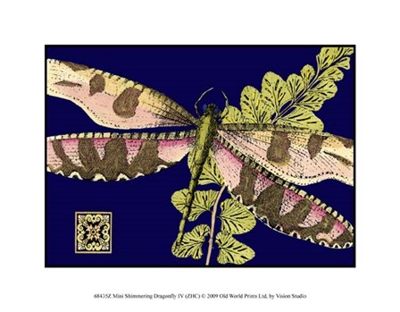 Mini Shimmering Dragonfly IV by Vision Studio art print