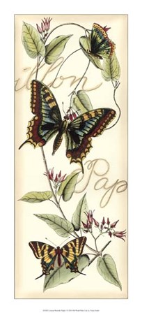 Butterfly Flight I by Vision Studio art print