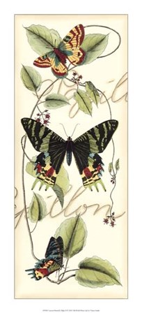 Butterfly Flight II by Vision Studio art print