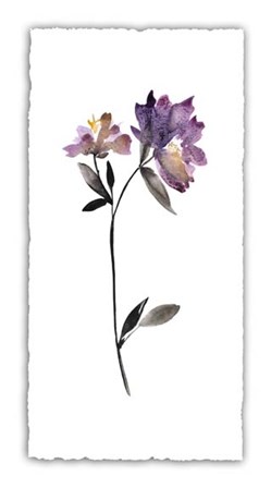 Floral Watercolor III by Kiana Mosley art print