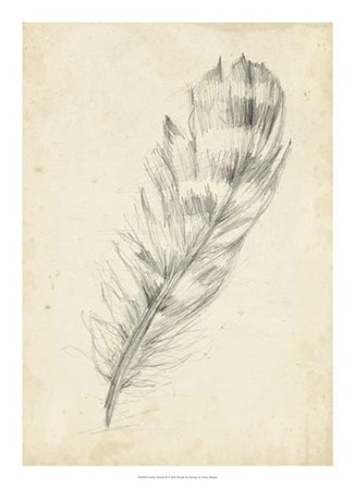 Feather Sketch II by Ethan Harper art print