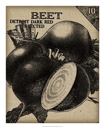 Vintage Seed Pack III by Vision Studio art print