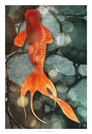 Fantail II by Alicia Ludwig art print