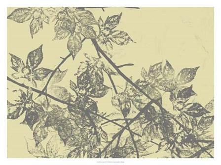 Grey Leaves I by Jennifer Goldberger art print