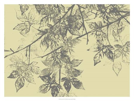Grey Leaves II by Jennifer Goldberger art print