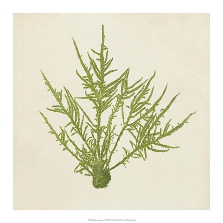 Chromatic Seaweed VII by Vision Studio art print