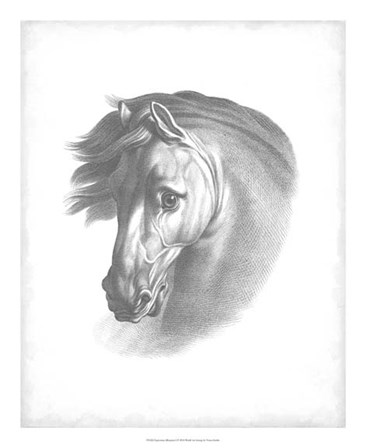 Equestrian Blueprint I by Vision Studio art print