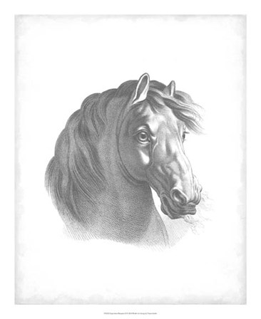 Equestrian Blueprint II by Vision Studio art print