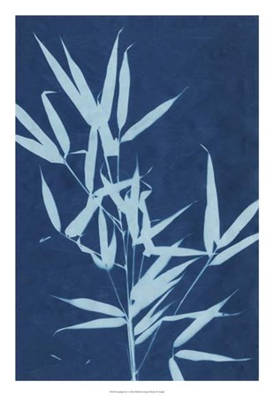 Cyanotype No.2 by Renee Stramel art print