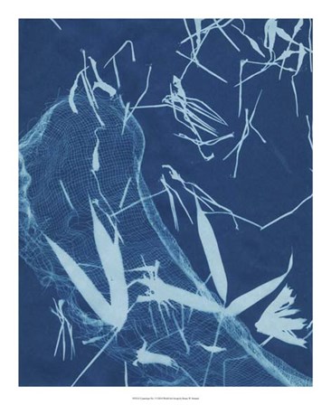 Cyanotype No.5 by Renee Stramel art print