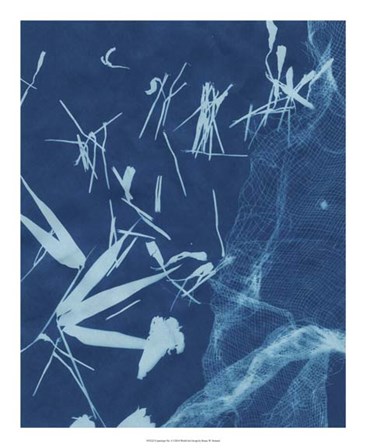 Cyanotype No.6 by Renee Stramel art print