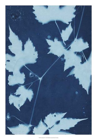 Cyanotype No.9 by Renee Stramel art print