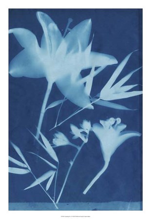 Cyanotype No.18 by Jenna Guthrie art print