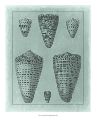 Spa Shell Collection I by Vision Studio art print